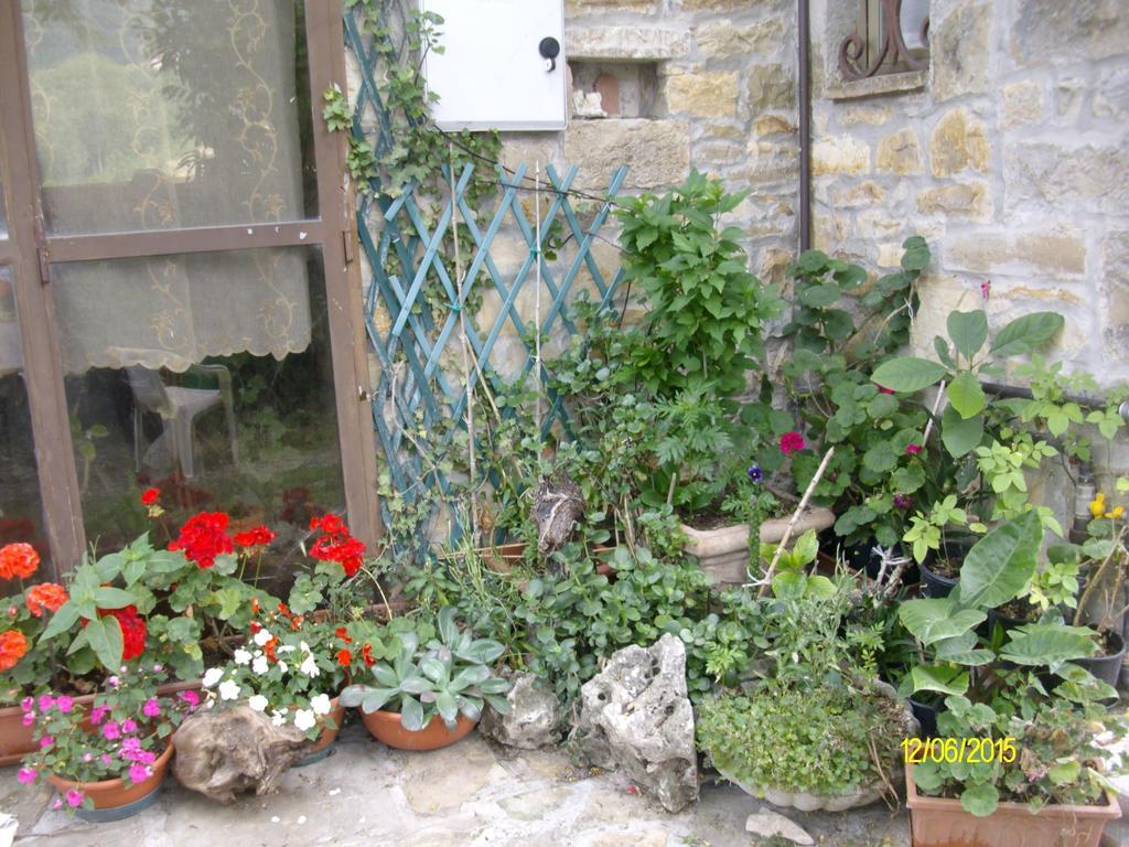 B&B San Nicola Serramazzoni Exterior photo