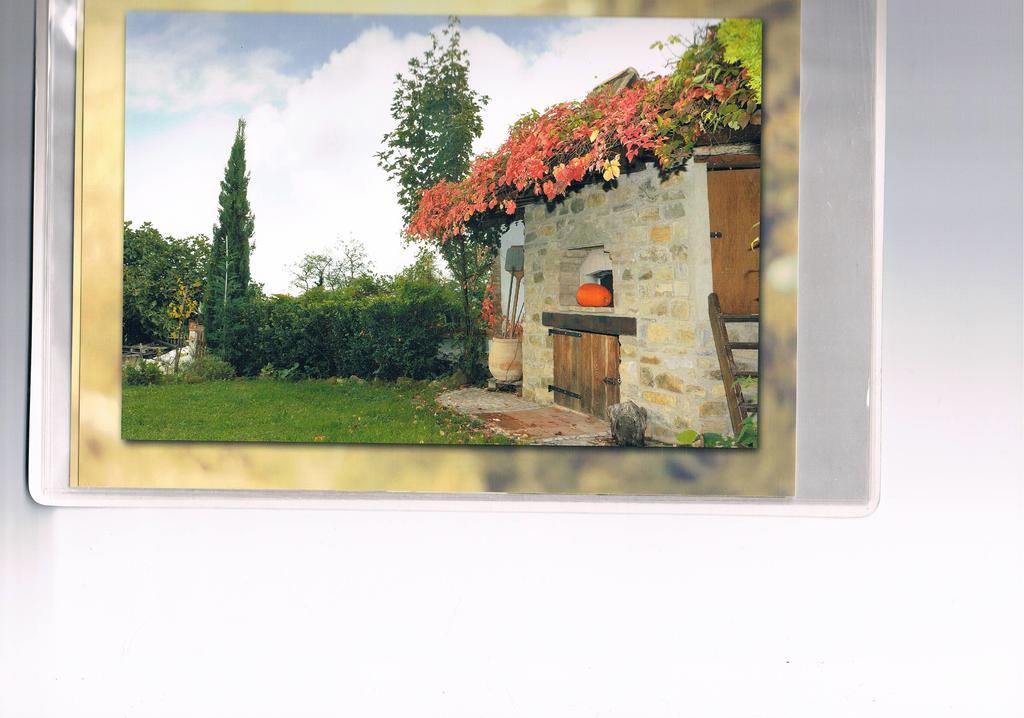 B&B San Nicola Serramazzoni Exterior photo