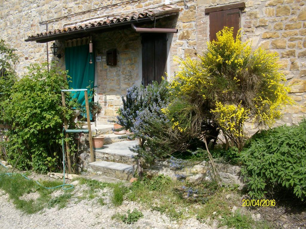 B&B San Nicola Serramazzoni Exterior photo