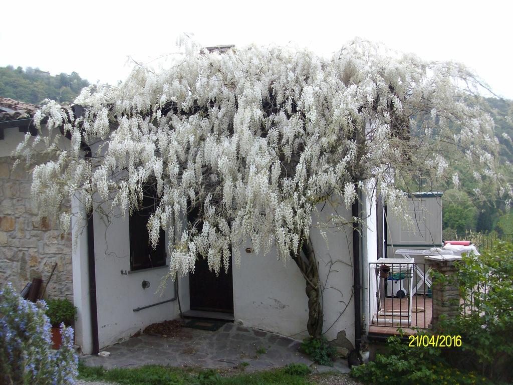 B&B San Nicola Serramazzoni Exterior photo